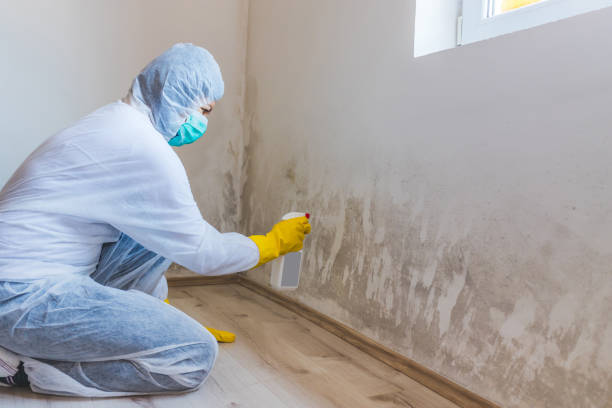 Mold inspector in Accident performing thermal imaging