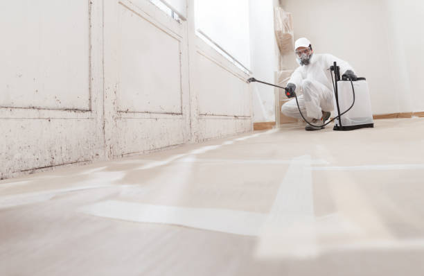 Post-remediation clearance in Accident